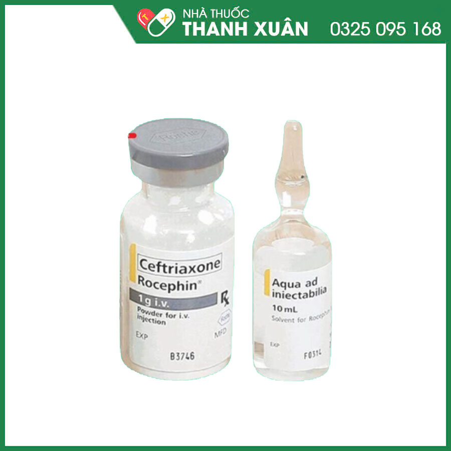 Rocephin 1g i.v thuốc điều trị nhiễm trùng do các mầm bệnh nhạy cảm và dự phòng các nhiễm trùng trong phẫu thuật